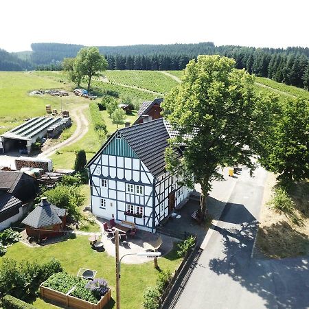 Ortmanns Eulennest Villa Finnentrop Екстериор снимка