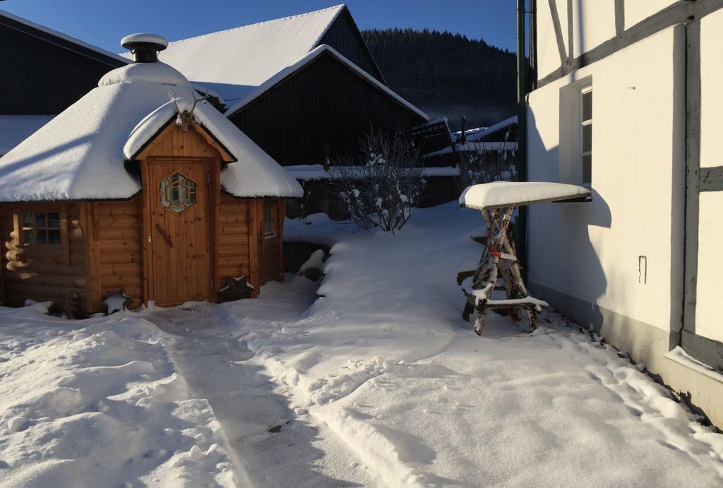 Ortmanns Eulennest Villa Finnentrop Екстериор снимка
